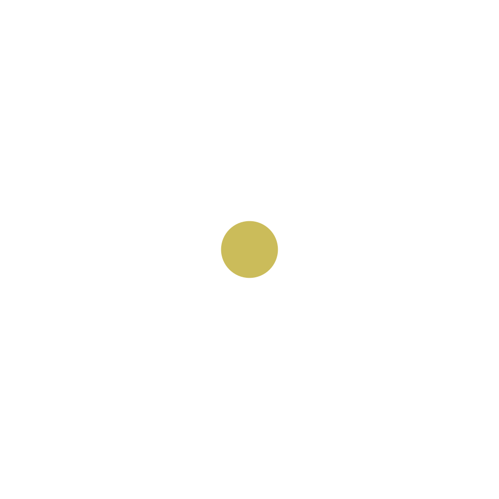 Maintenance & Support